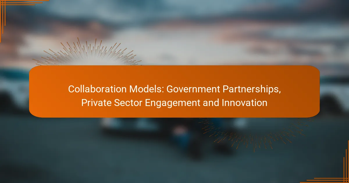 Collaboration Models: Government Partnerships, Private Sector Engagement and Innovation