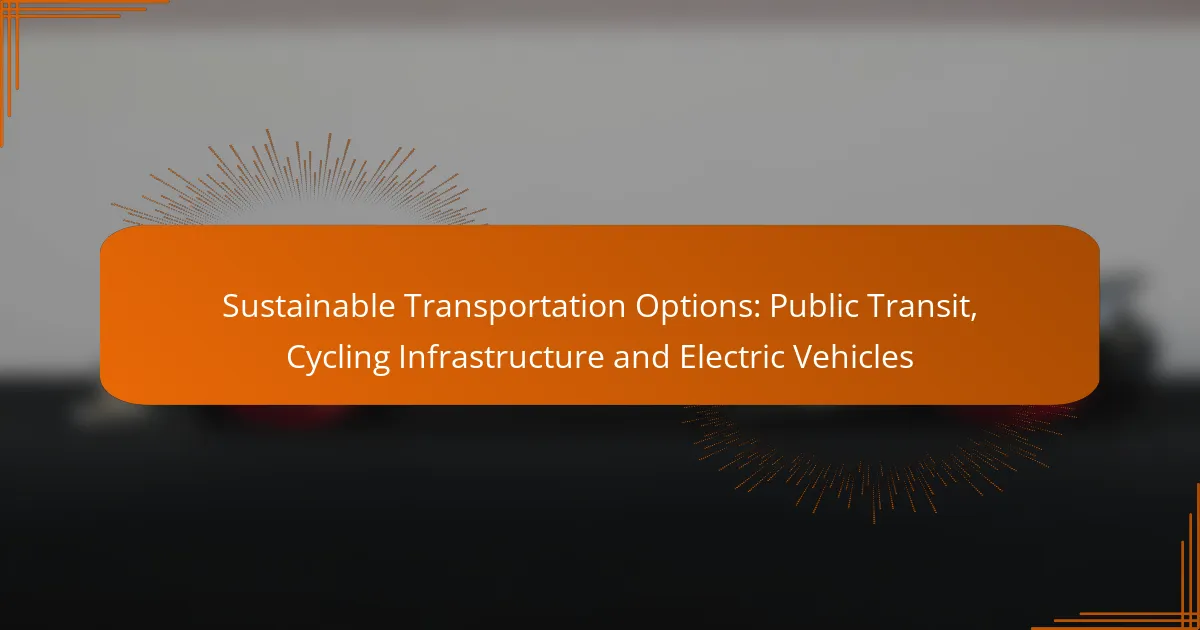 Sustainable Transportation Options: Public Transit, Cycling Infrastructure and Electric Vehicles