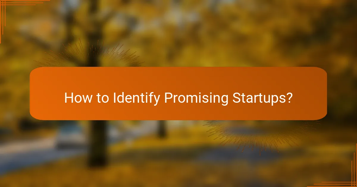 How to Identify Promising Startups?