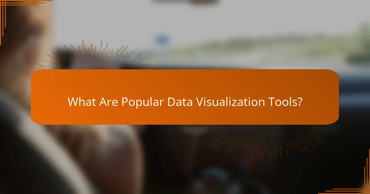 What Are Popular Data Visualization Tools?