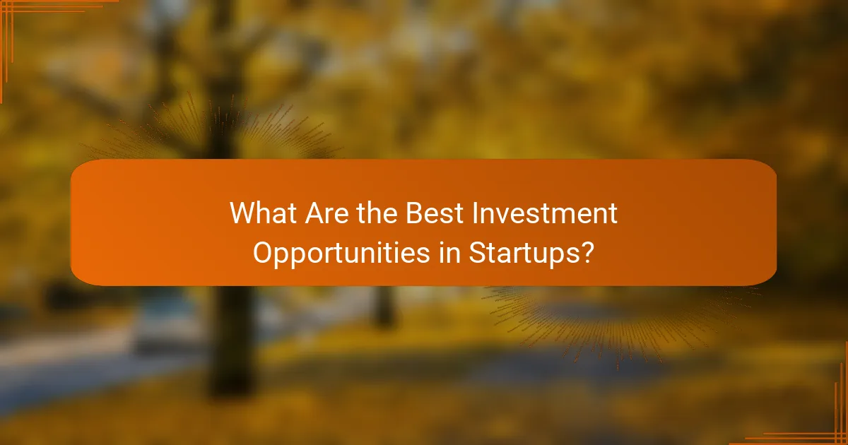 What Are the Best Investment Opportunities in Startups?