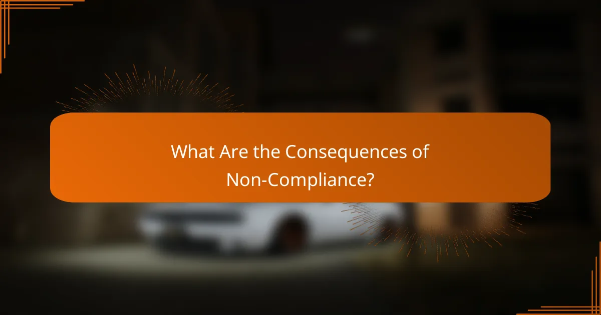 What Are the Consequences of Non-Compliance?