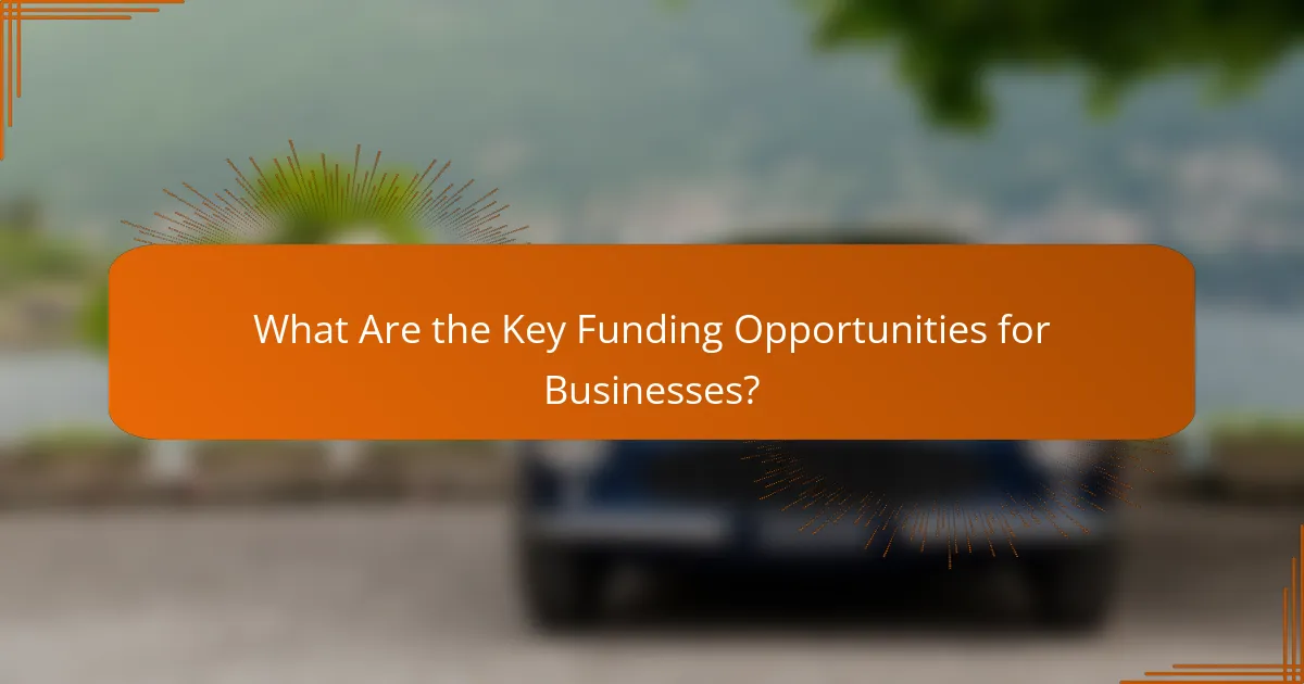 What Are the Key Funding Opportunities for Businesses?