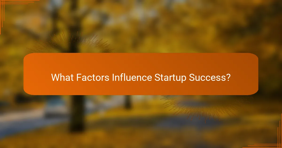 What Factors Influence Startup Success?