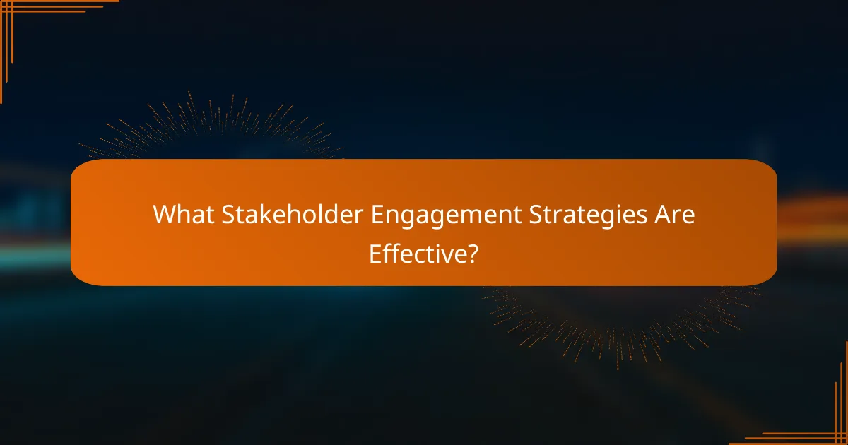 What Stakeholder Engagement Strategies Are Effective?
